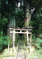Japan to recommend Kii holy grounds to UNESCO heritage list
